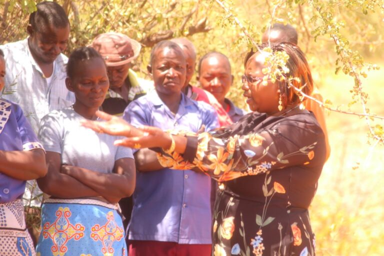 Aspiring Tharaka Nithi woman MP pastor Lucy Wanja