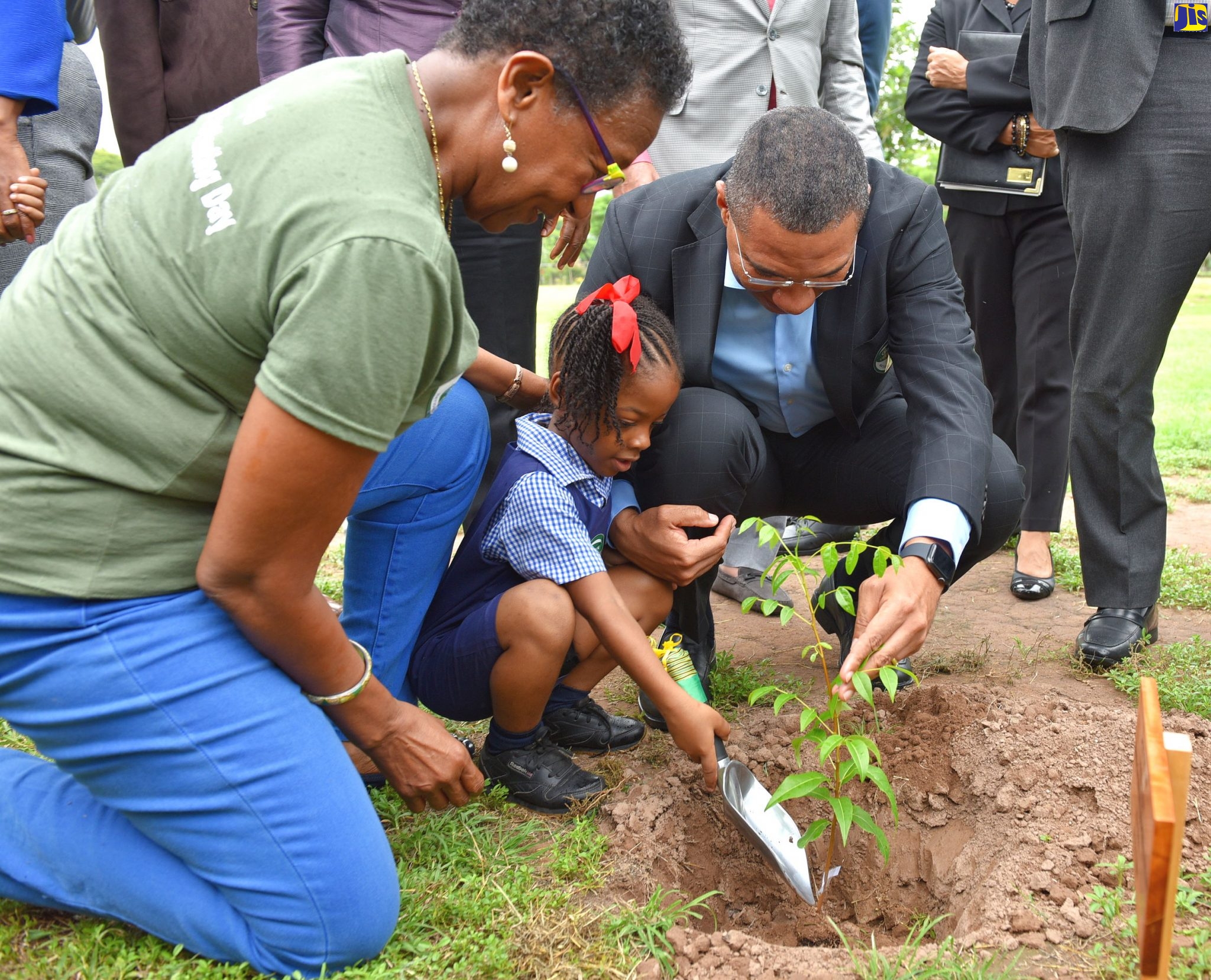 Planting tree