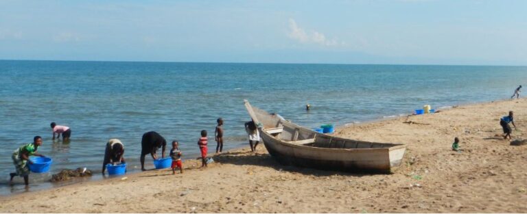 Lake Albert shores