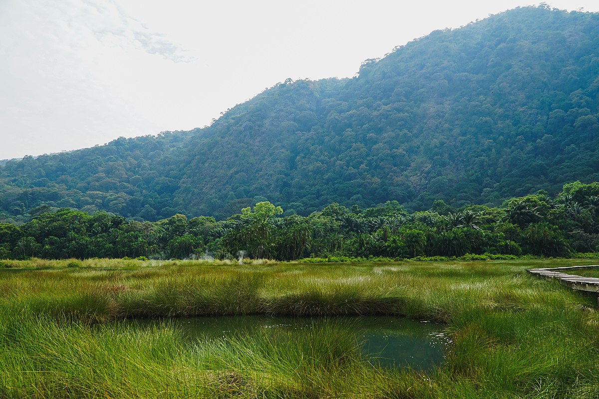 Ugandan wetlands