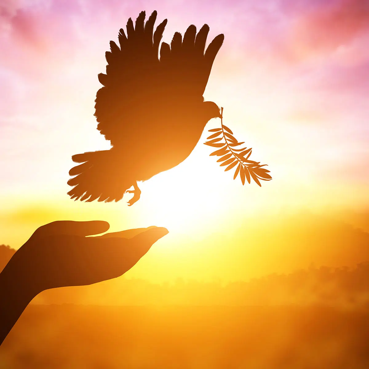 I Desire Peace