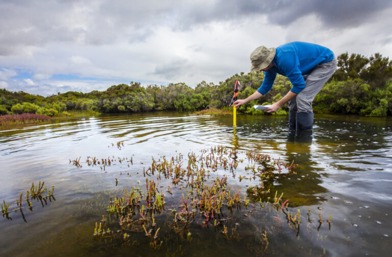 CONSERVE WETLANDS TO MITIGATE CLIMATE CHANGE