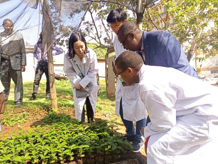 Coffee farmers in Kisii and Nyamira counties .