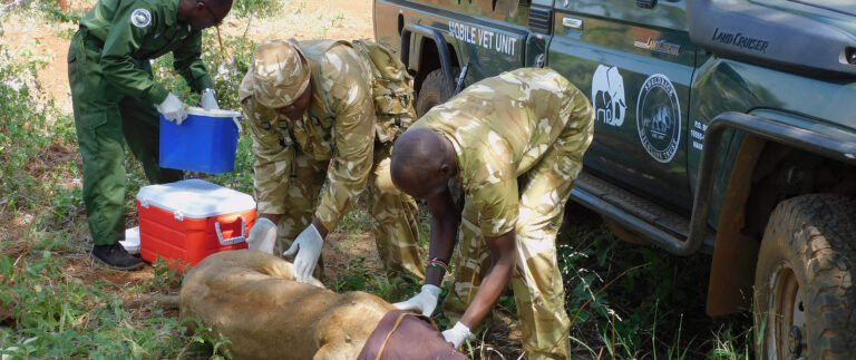 Meru Mobile Veterinary Unit