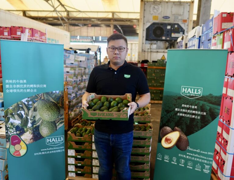 A Chinese displaying some of the Avocados exported in China.