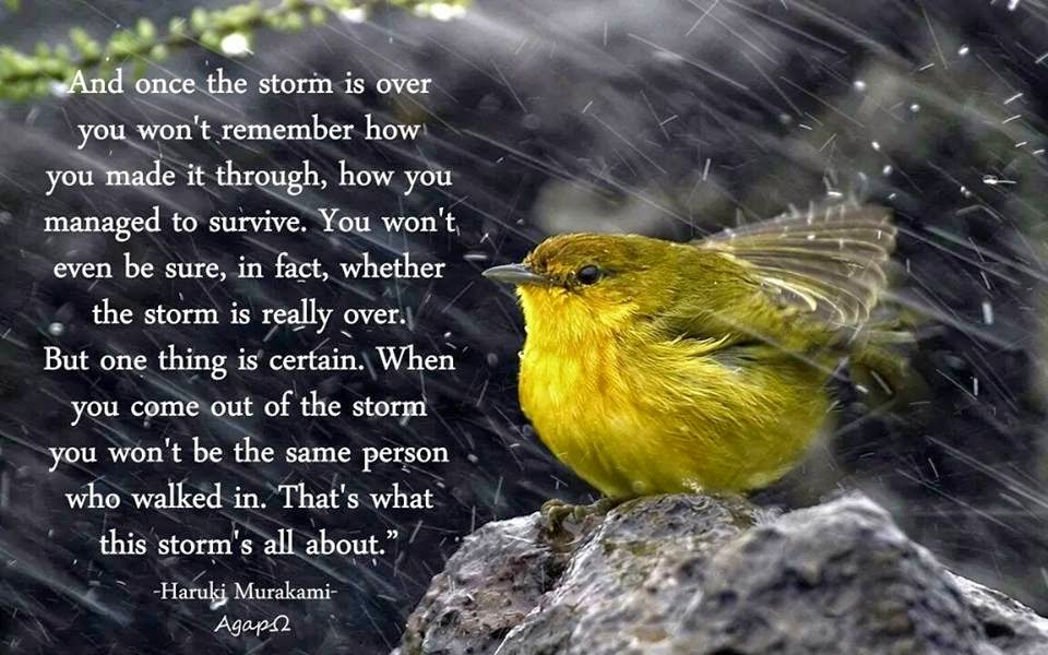And once the storm is over you won't remember h