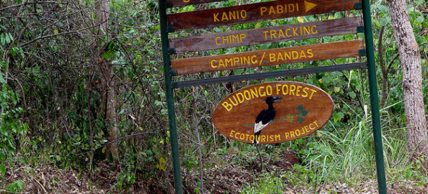 Budongo Forest Reserve