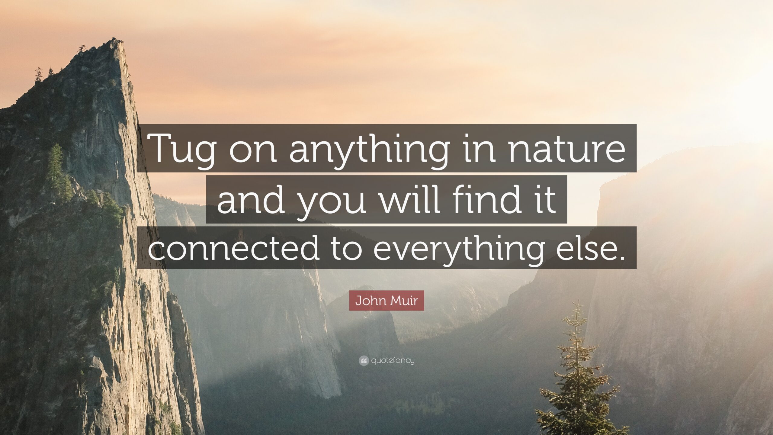 Everything in nature is interconnected with others