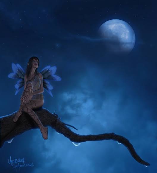 Four day moonlit love