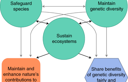 Global biodiversity policy post-2020