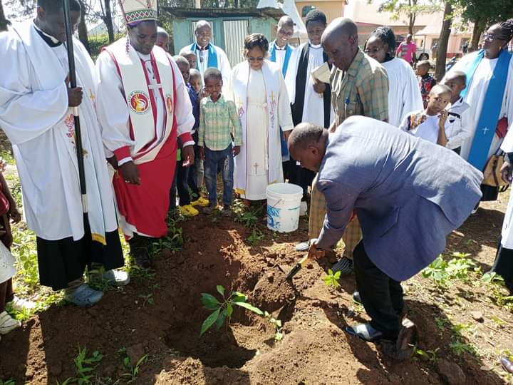 Kirinyaga County Deputy Governor Peter Ndambiri planting a commemorative tree yesterday after a Sunday service at Mutithi ACK Church.