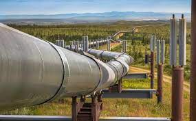 Locals displaced by oil pipeline project decry varying compensation rates