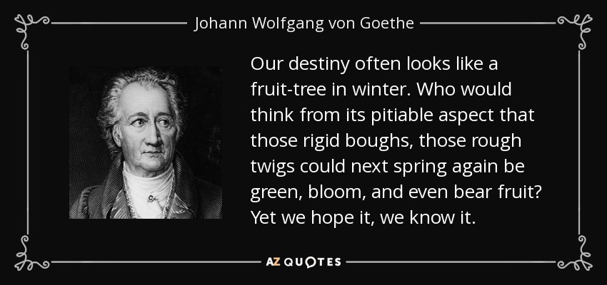 Our destiny