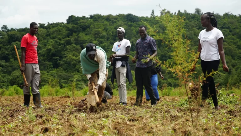 Shamba system