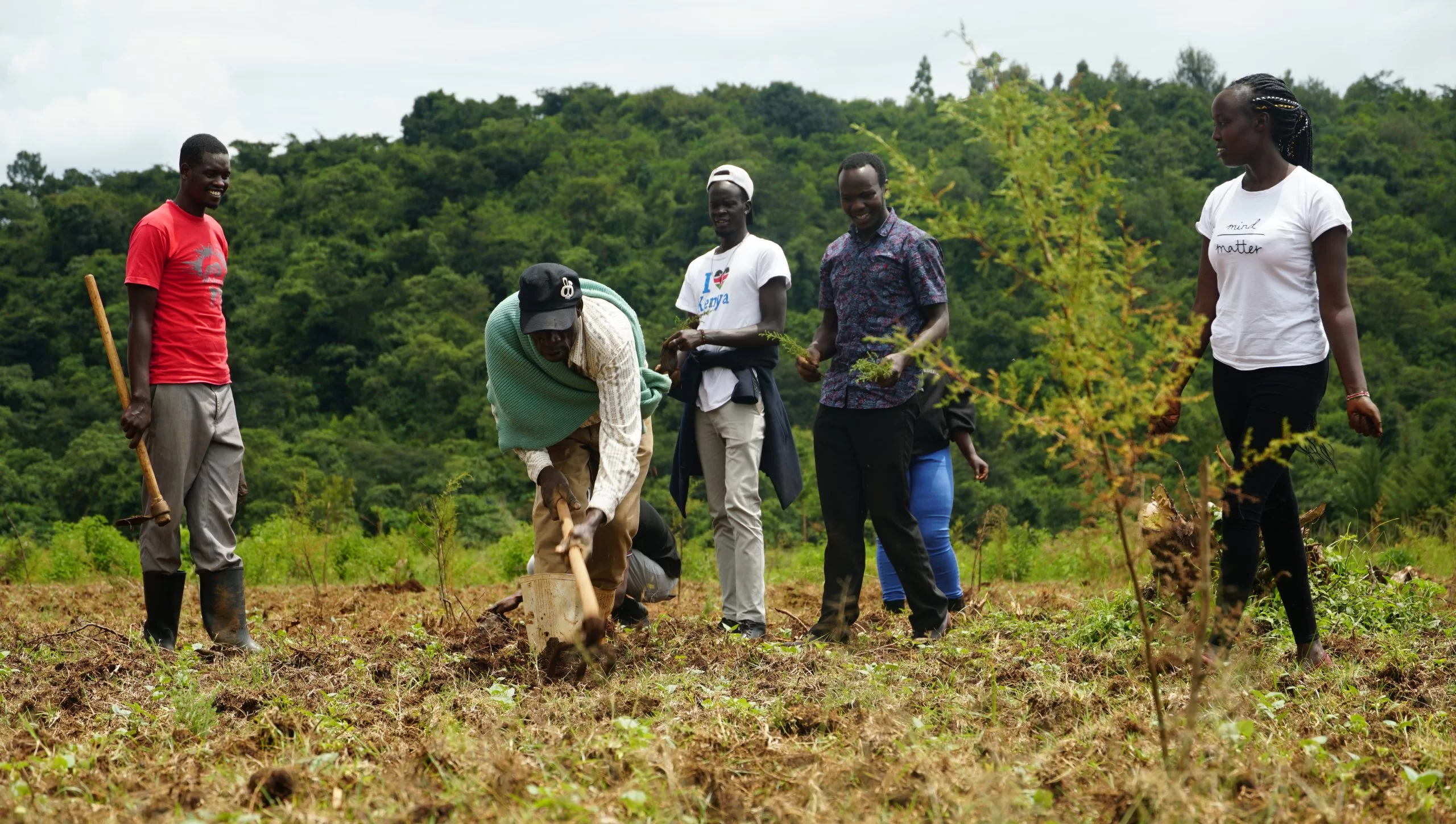 Shamba system