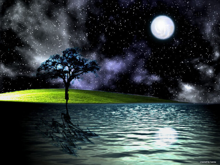 The Night is Beautiful