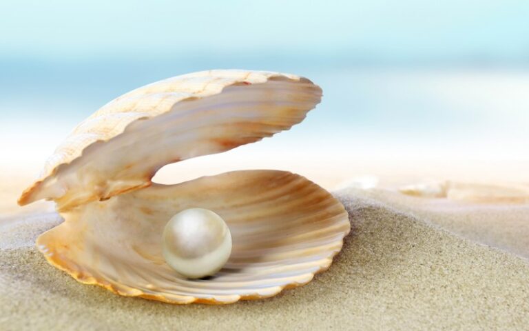 The Secret Pearl