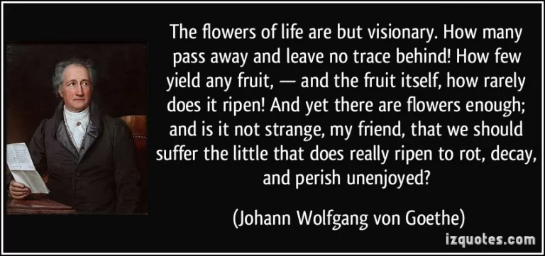 The flowers of life are but visionary