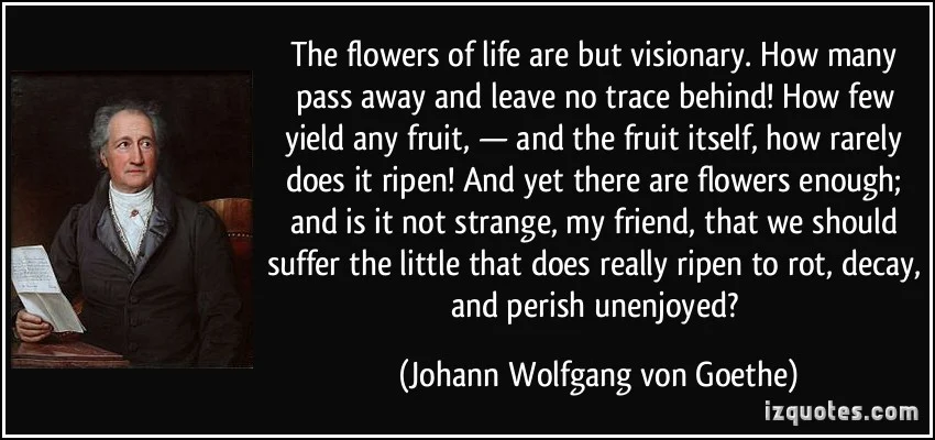 The flowers of life are but visionary