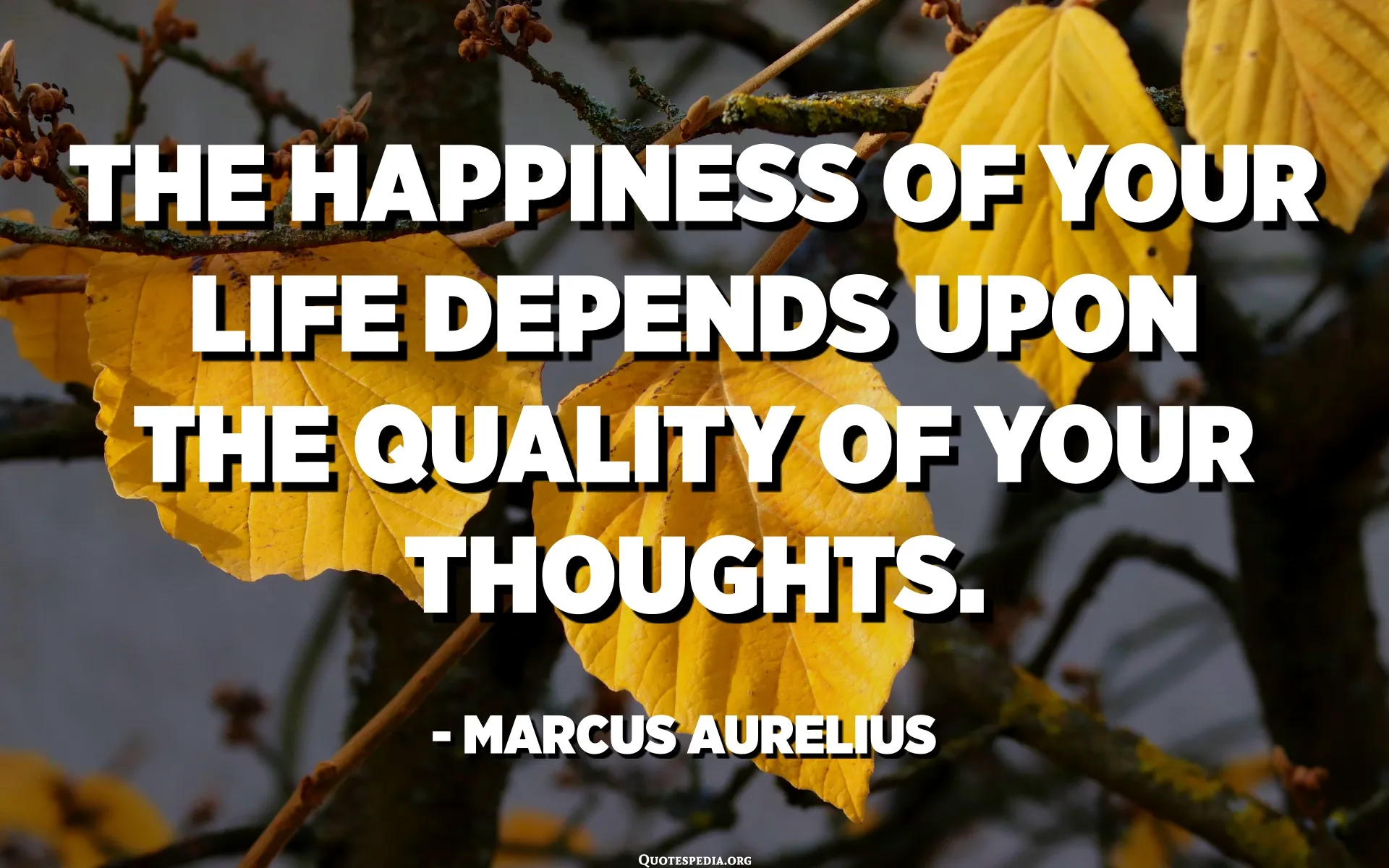 The happiness of your life depends upon the quality of your thoughts