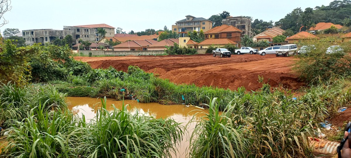 Wetland along Buwate road in Kira municipality