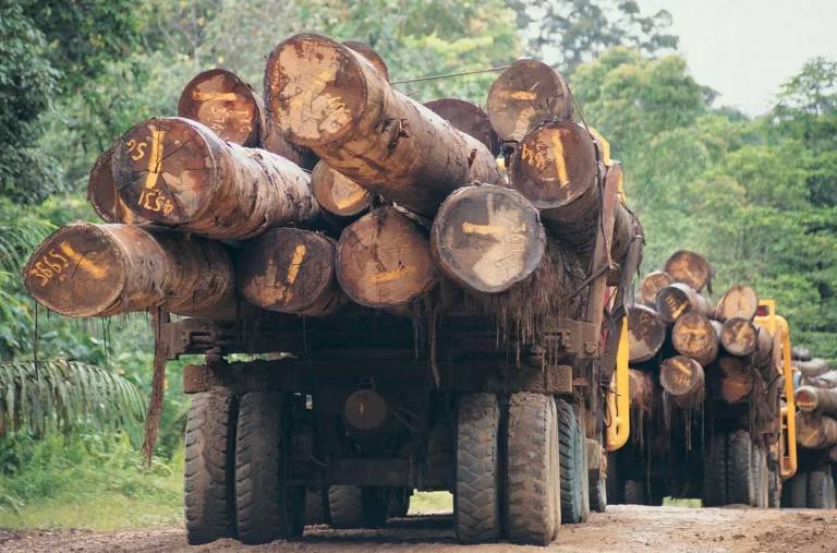 green economic sectors