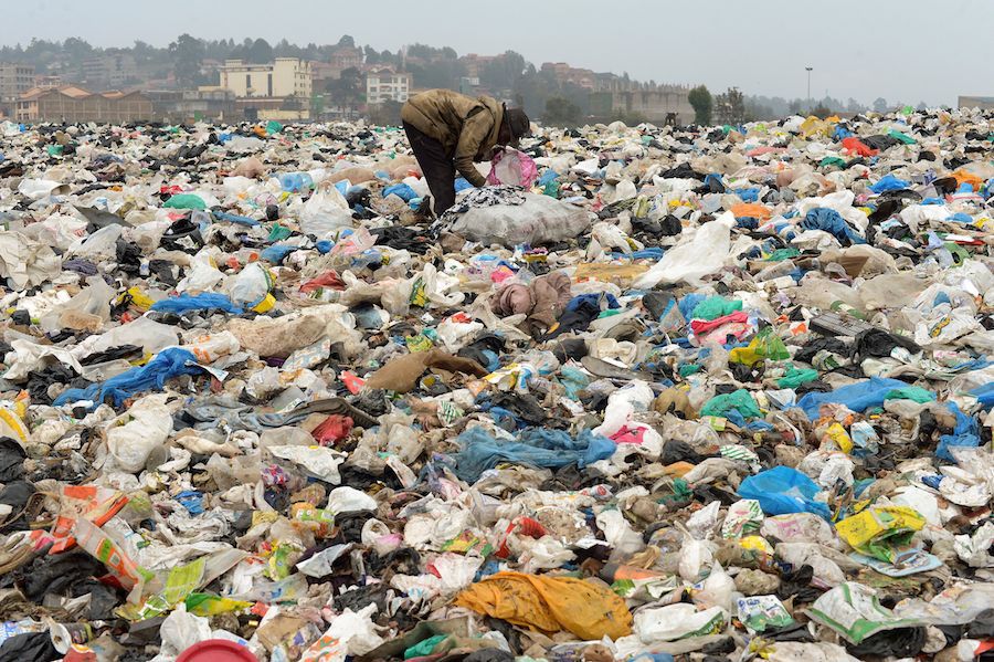 plastic bags