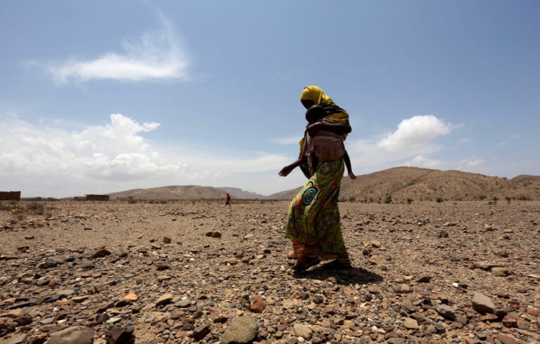 The Wider Image: Struggle for survival in Somaliland