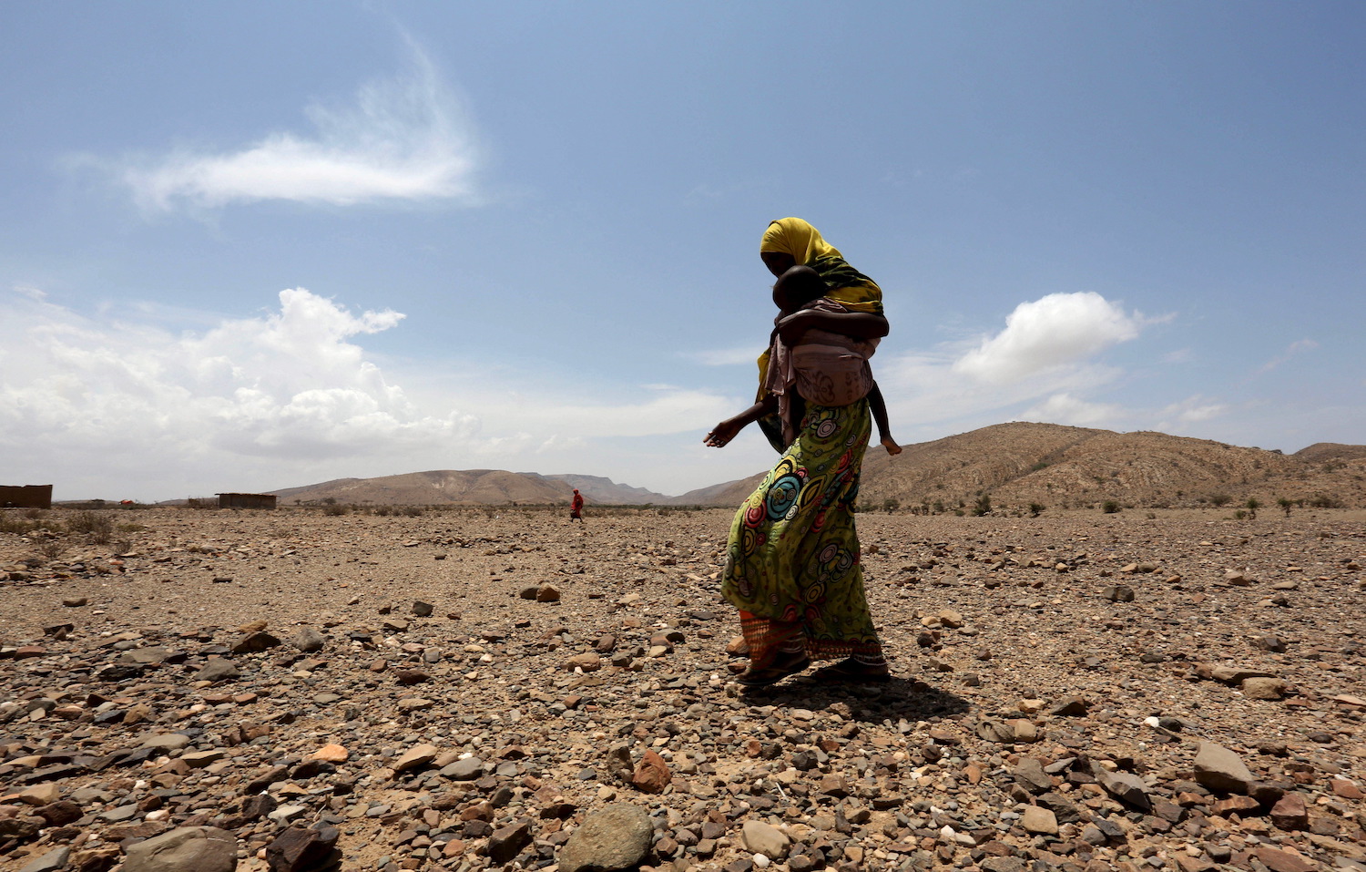 The Wider Image: Struggle for survival in Somaliland