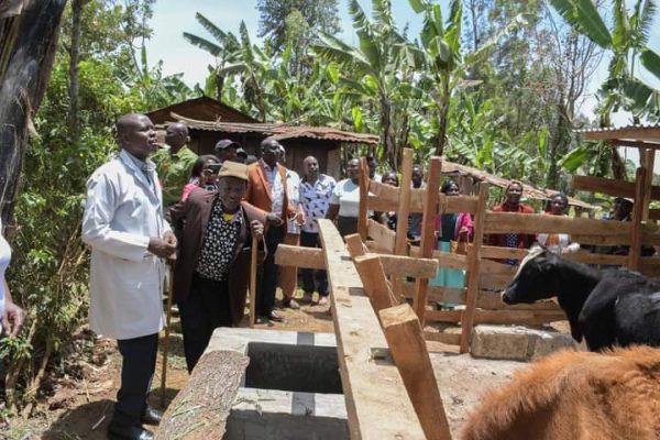 Embu Rice Factory KTDA and Sainsburyโs donates beehives and heifers to Embu and Meru ...