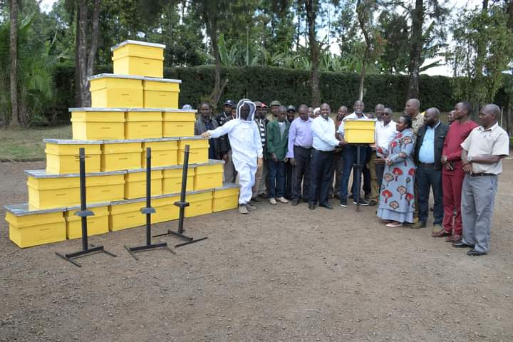 Embu Rice Factory KTDA and Sainsburyโs donates beehives and heifers to Embu and Meru ...