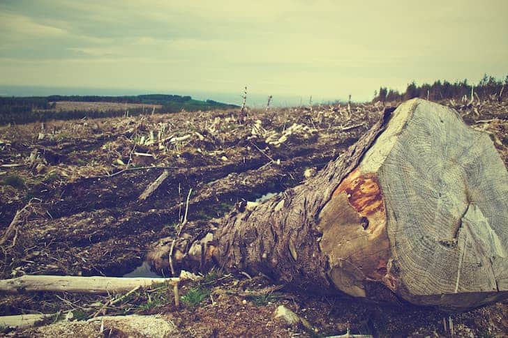 destructive to environment