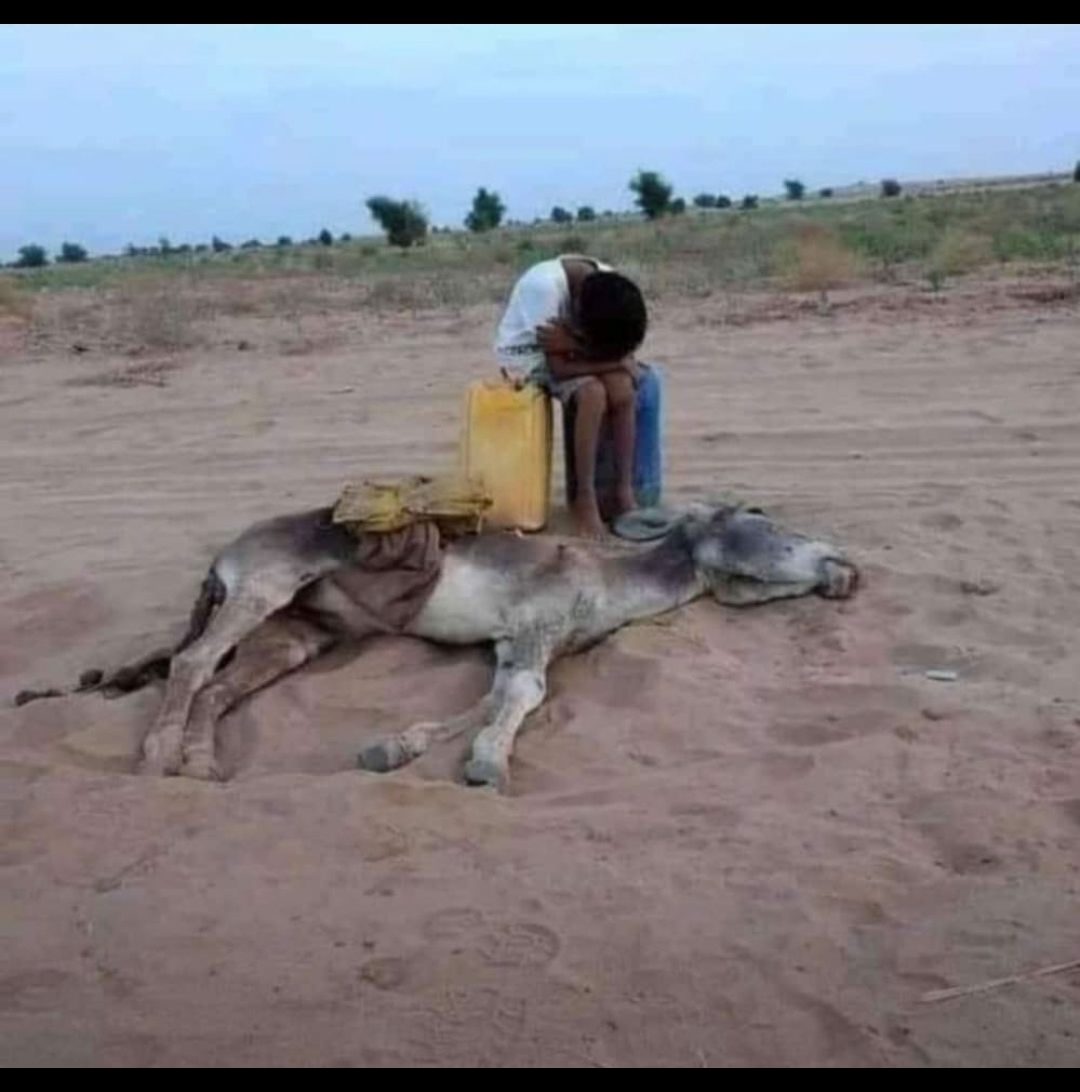 severe hunger drought