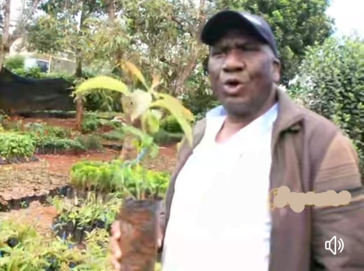 Julius Nderitu Githogori alias Marimu in his Othaya tree nursery yesterday