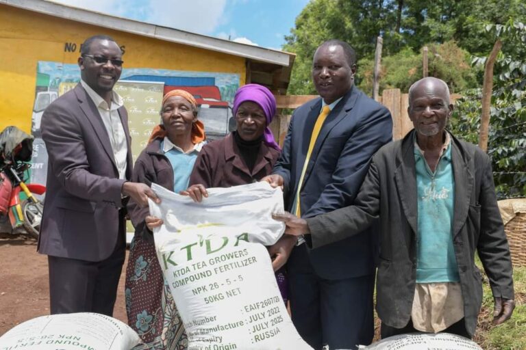 KTDA Tea farmers