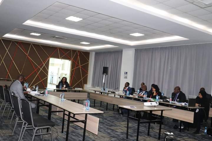 National Assembly Regional Development committee during yesterday's session