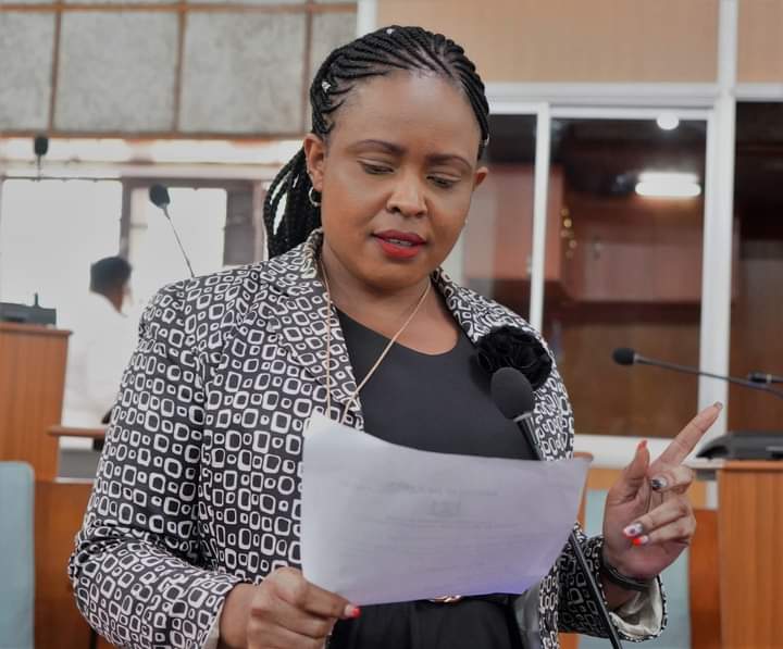 Nyeri County Assembly nominated MCA Agnes Wanjiku while moving the CCTV installation motion.