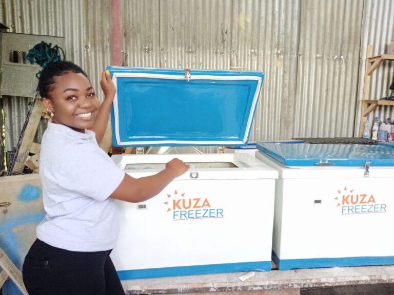 Purity Gakuo, Co-founder of Kuza Freezer