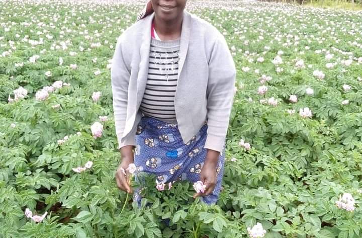 A potato farmer in her farm