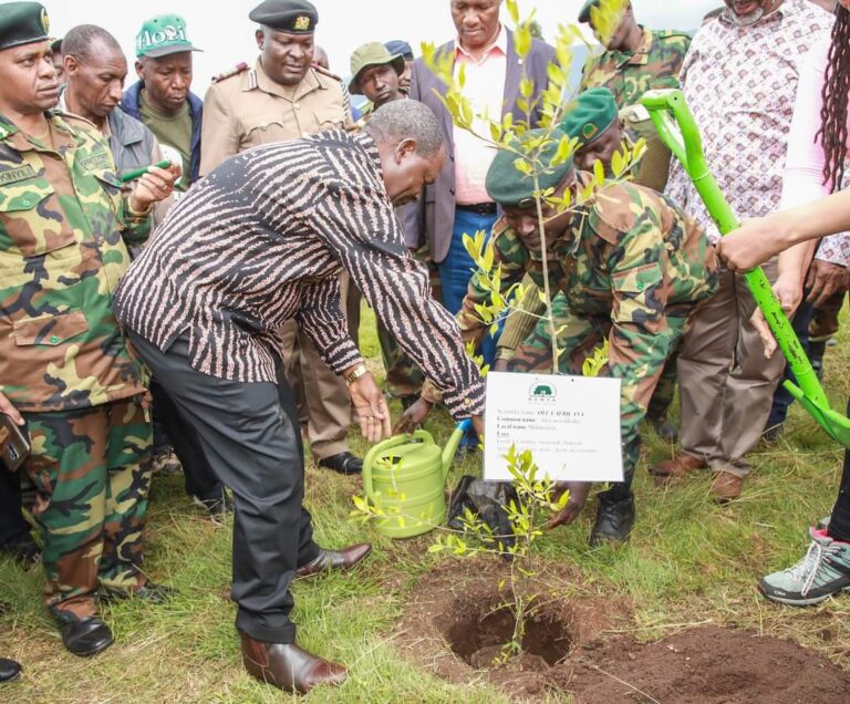 Cabinet Secretary for The National Treasury and Economic Planning, Hon. (Prof.) Njuguna Ndung'u