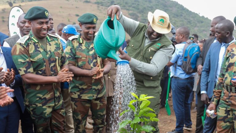 President William Ruto watering a tree after planting several trees in Ngong Hill Forest