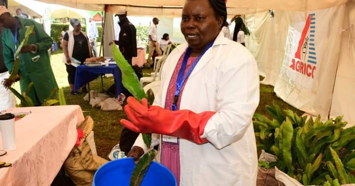 Dr Monica Waiganjo