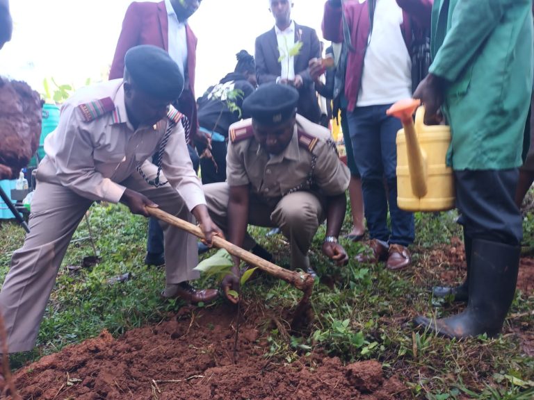 Kisii Central Deputy County Commissioner Wilberforce watering a tree at Nyaura Primary school