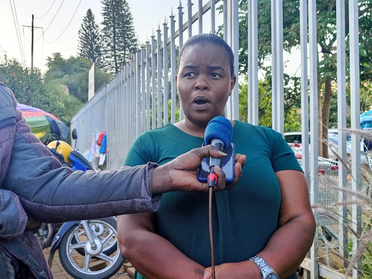 Secretary General of Knight Iron and Scrap Dealers Association Gladys Nyambura.
