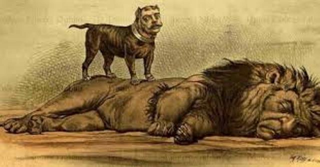 A Living Dog Is Better To A Dead Lion