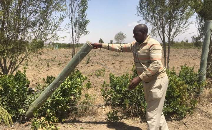 A resident showing part of the fence destroyed by elephants.