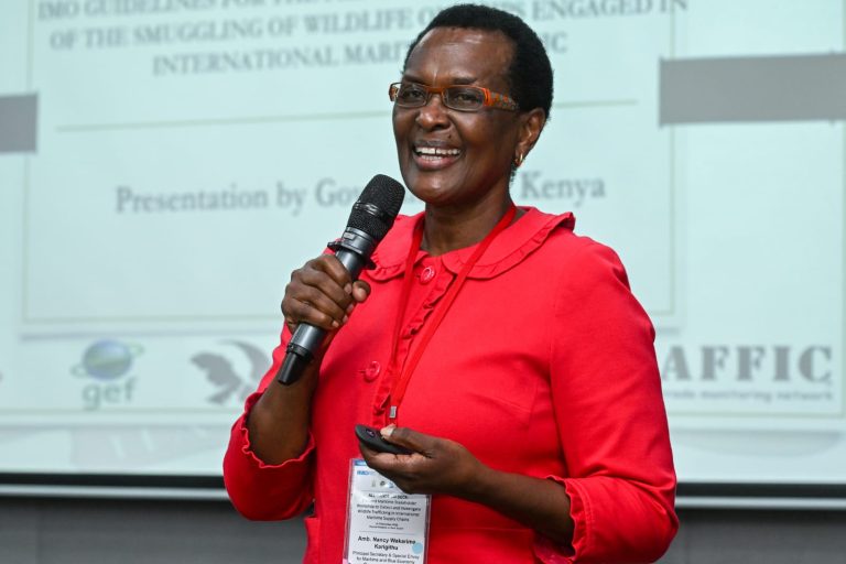 Amb. Nancy Karigithu (1)