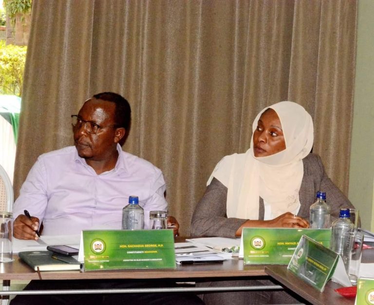 Departmental Committee on Blue Economy and Irrigation