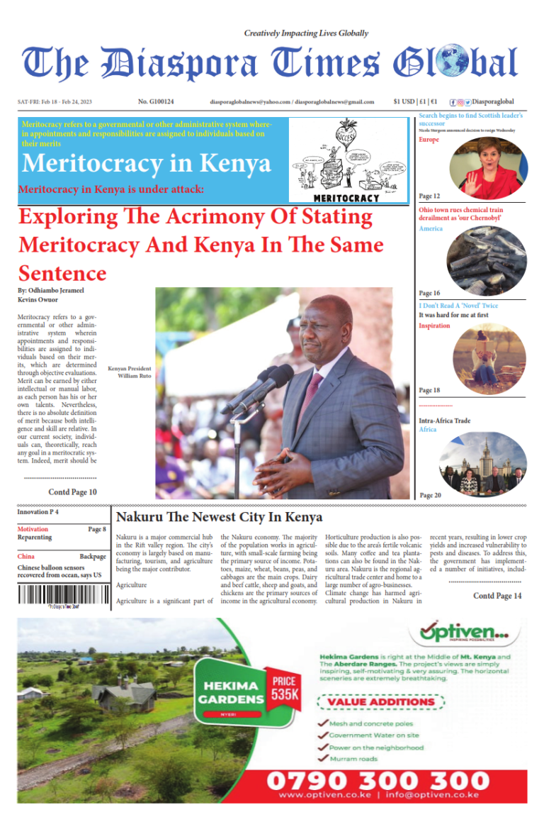 Diaspora Times Global Feb 18 - Feb 24, 2023_001