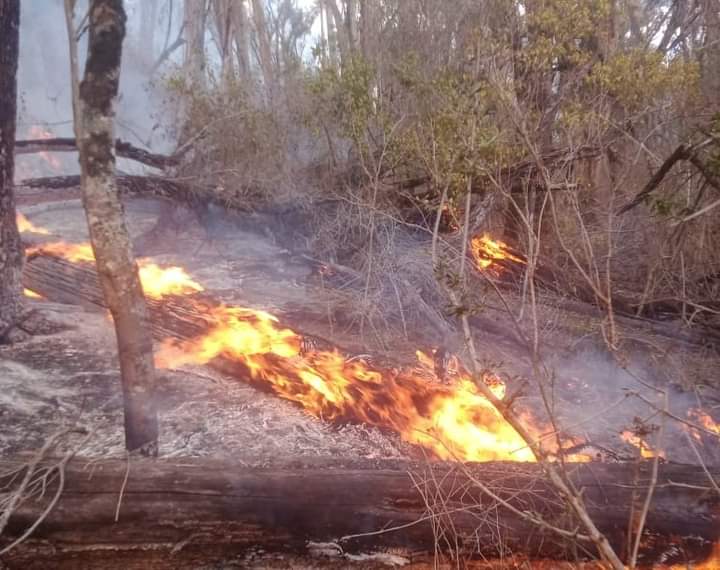 Fires Razing Aberdare
